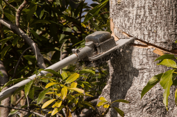 H&H Tree Service