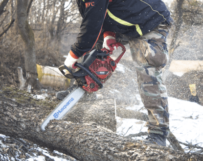 TREE REMOVAL