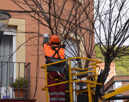 TREE TRIMMING